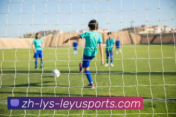 乐鱼官网平台生态图