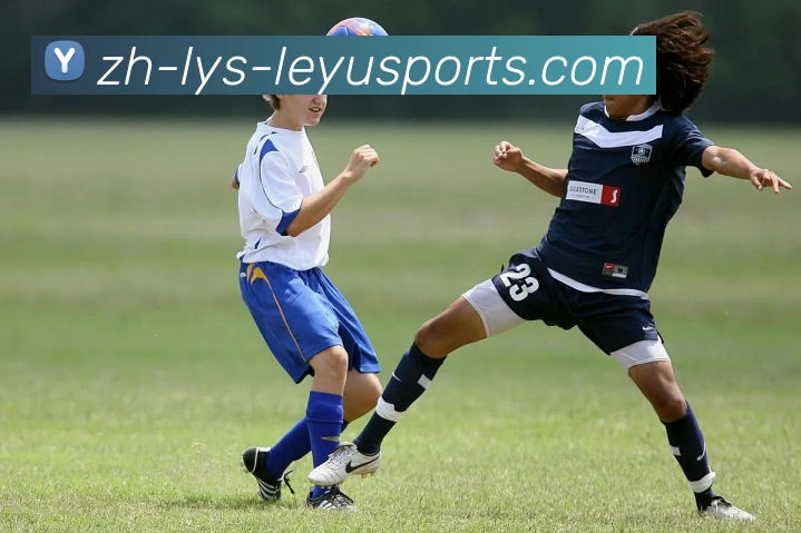 乐鱼官网APP 封面图